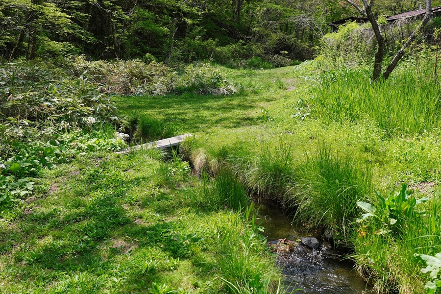 釣り堀の画像10