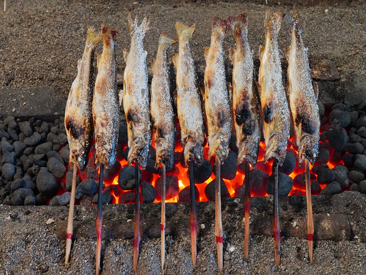 囲炉裏で岩魚の塩焼き画像06