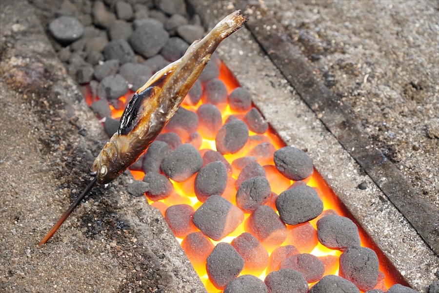 囲炉裏で岩魚の塩焼き画像03